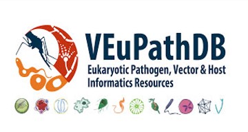 VEuPathDB