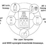 Updated WHO guidance for monitoring resistance in mosquito vectors