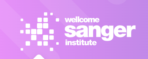 Sangar Excellence Fellowship