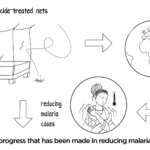WHO recommendations on new types of insecticide-treated nets