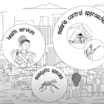 WHO: Malaria response in urban areas