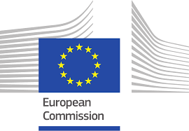 European Commission Call for Input: Consultation for the preparation of the EU4Health 2027 work programme. - MESA