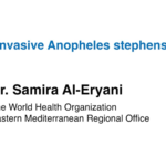 Invasive Anopheles stephensi