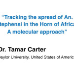 Tracking the spread of An. stephensi in the Horn of Africa: A molecular approach