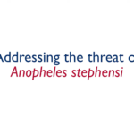 Addressing the threat of Anopheles stephensi