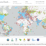 Global mosquito observations dashboard (GMOD)