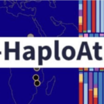 Pf-HaploAtlas
