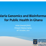 Malaria Genomics and Bioinformatics for Public Health in Ghana