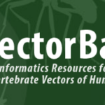 VectorBase