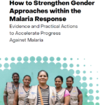 How to Strengthen Gender Approaches within the Malaria Response