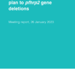 Update of the response plan to pfhrp2 gene deletions: meeting report, 26 January 2023