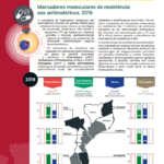 Dissemination Brochures: MMS in Mozambique (GenMoz)