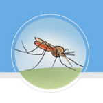 Evidence-Based Malaria Social and Behavior Change Communication: From Theory to Program Evaluation