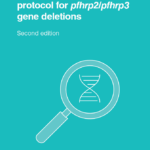 Surveillance template protocol for pfhrp2/pfhrp3 gene deletions, second edition