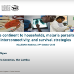 From the continent to households, malaria parasite clans, interconnectivity, and survival strategies: Dr Alfred Amambua-Ngwa