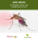 Gene drives for malaria control and elimination in Africa