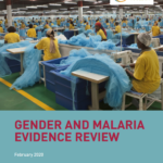 Gender and Malaria Evidence Review