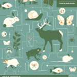 Gene drives: Pursuing opportunities, minimizing risk