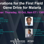 Considerations for the first field trials of gene drive for malaria