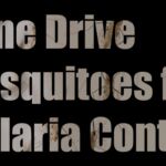 Gene drive mosquitoes for malaria control