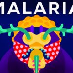 Genetic engineering and diseases – Gene drive & malaria