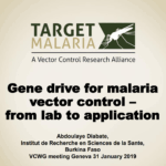 Gene drive for malaria vector control – from lab to application