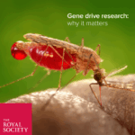 Gene drive research: why it matters