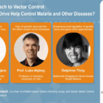 APMEN webinar – Genetic approach to vector control: How can gene drive help control malaria and other diseases?