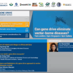 Can gene drive eliminate vector-borne diseases?