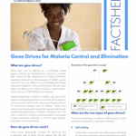 Gene drives for malaria control and elimination