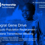 Integral gene drive mosquito population replacement & malaria transmission blocking