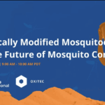 Genetically modified mosquitoes and the future of mosquito control