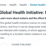 Global Health Initiative: Malaria Awareness