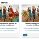 Multisectorial approaches to prevent and control vector-borne diseases