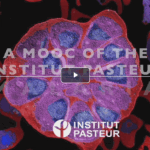 Malaria MOOC