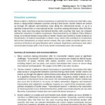 WHO Evidence Review Group meeting report: Border malaria