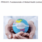 Fundamentals of Global Health (online)
