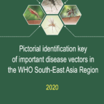 Pictorial identification key of important disease vectors in the WHO South-East Asia Region