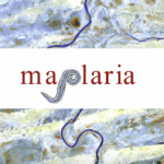 Maplaria