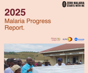 2025 Africa Malaria Progress Report