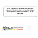 Integrated National Strategic Plan (NSPIE) of Benin: 2024 – 2030