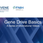 The concept of gene drive