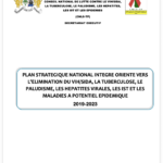 Integrated National Strategic Plan (NSPIE) of Benin: 2019–2023