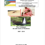 National Malaria Strategic Plan (NMSP) of Comoros: 2007 – 2014